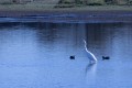etang foucault-1-4